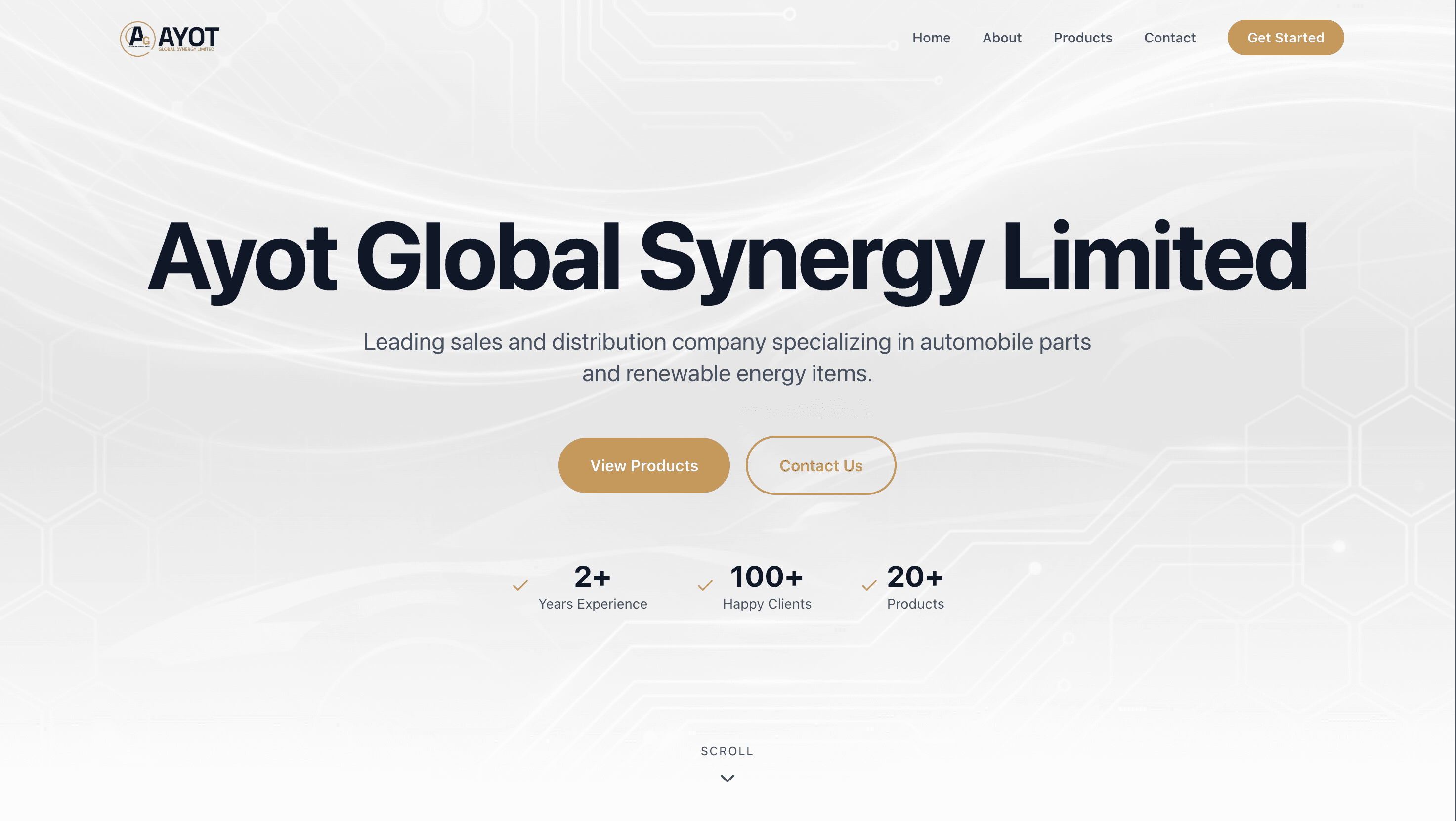 Ayot Global Synergy website homepage